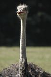 lindeijer_2006-07-20_674