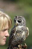 lindeijer_2006-07-20_790