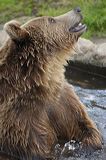 lindeijer_2006-08-01_293