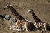 lindeijer_2006-09-09_230