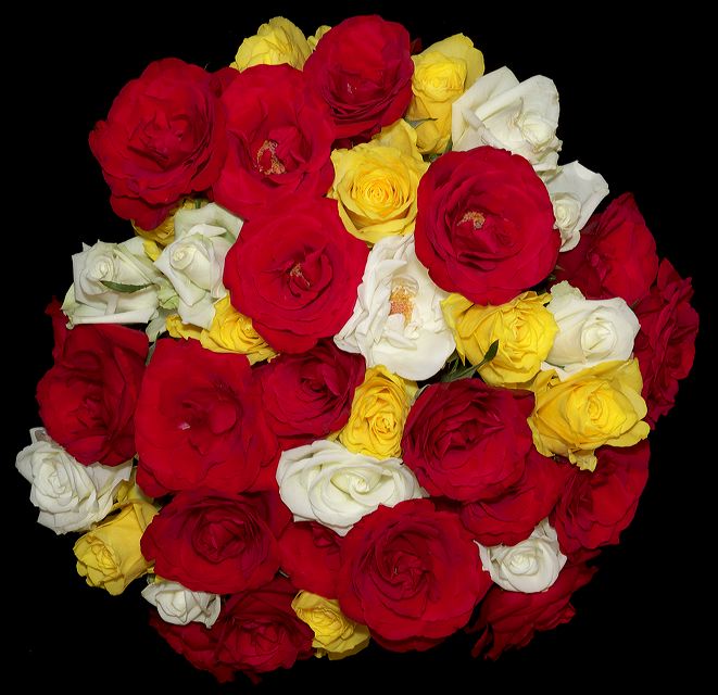 img0021.jpg