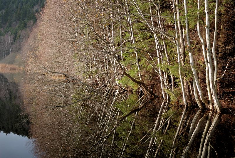 _dsc3996.jpg