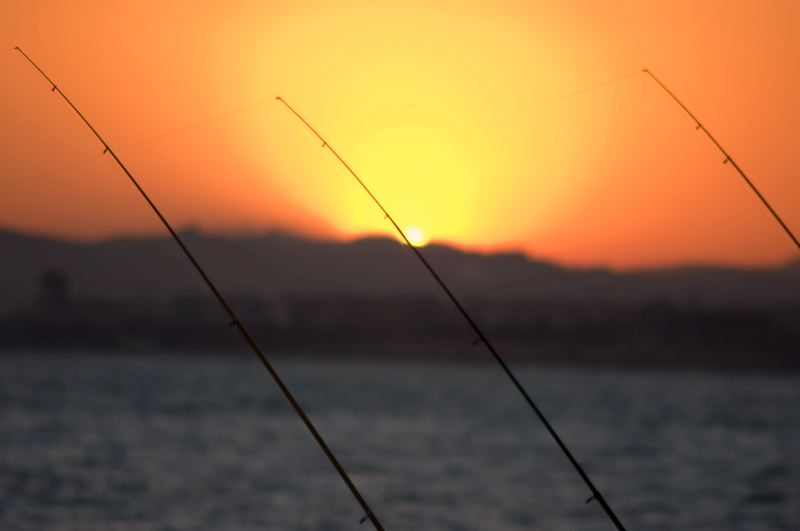 _dsc4559_quick.jpg